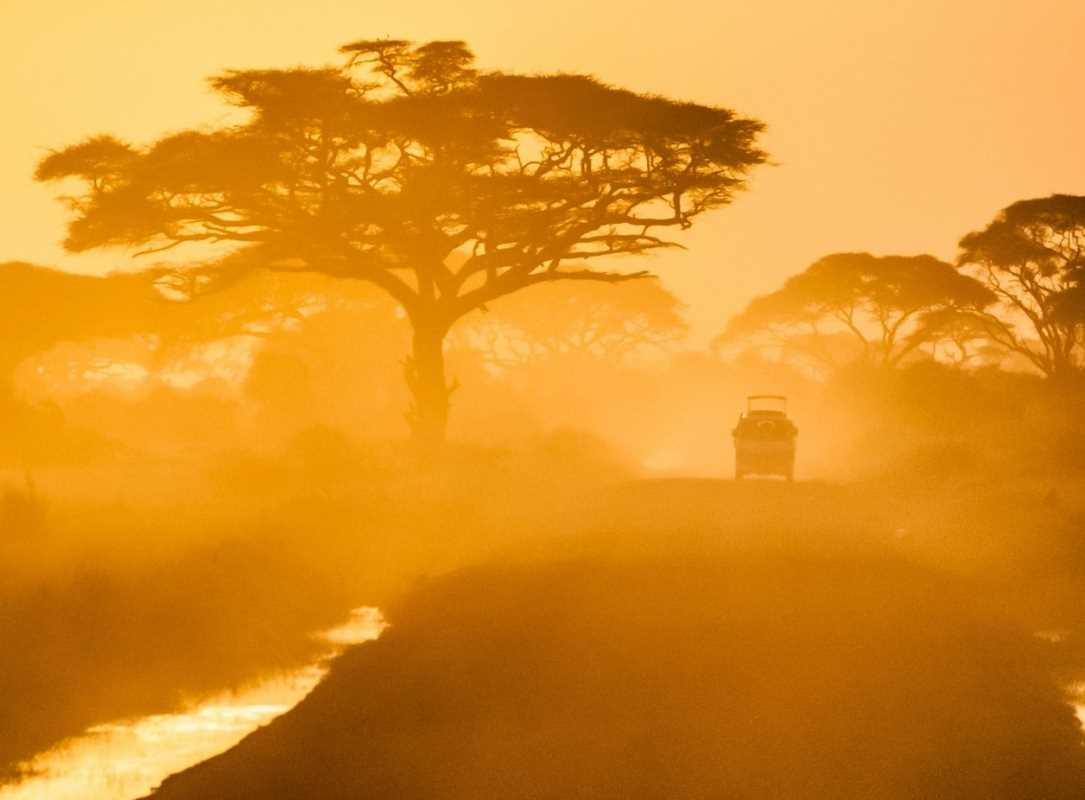 Just How Safe Are Safari Experiences?